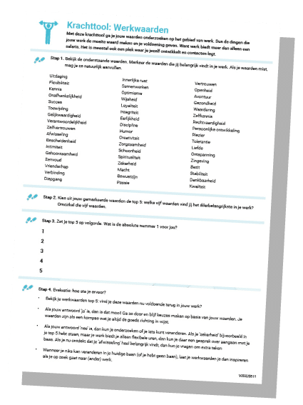 voorbeeld document over werkwaarden