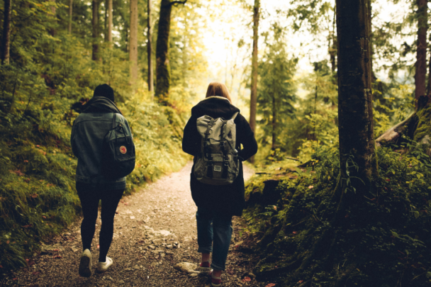 twee mensen wandelen in het bos|pad in een bos met bomen en een tunnel van takken 2|pad in een bos met bomen en een tunnel van takken|logo in blauw en groen met de tekst Breinpad