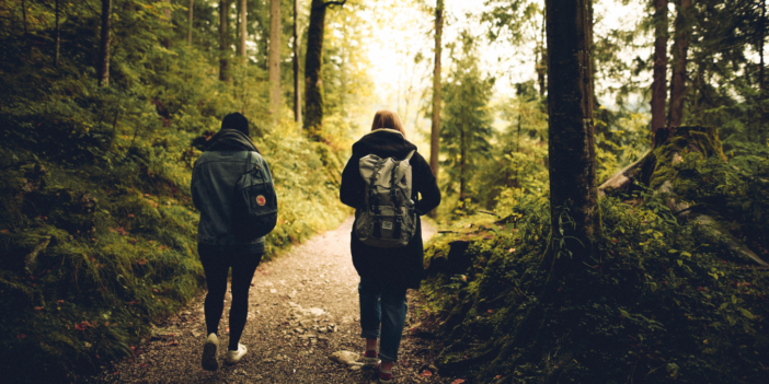 twee mensen wandelen in het bos|pad in een bos met bomen en een tunnel van takken 2|pad in een bos met bomen en een tunnel van takken|logo in blauw en groen met de tekst Breinpad