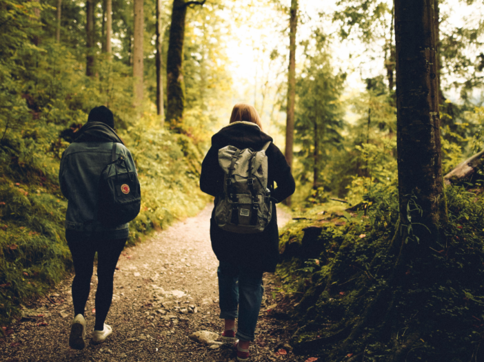 twee mensen wandelen in het bos|pad in een bos met bomen en een tunnel van takken 2|pad in een bos met bomen en een tunnel van takken|logo in blauw en groen met de tekst Breinpad