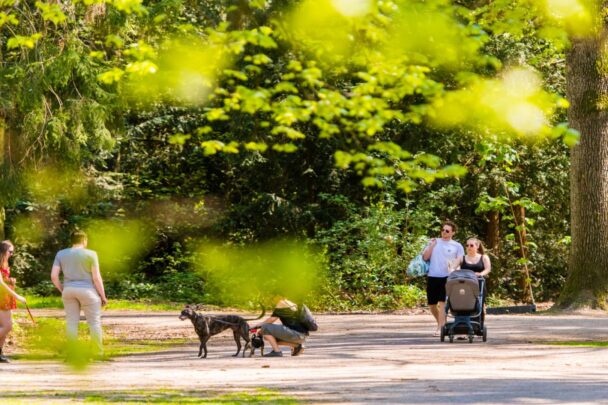 Wandelen in park