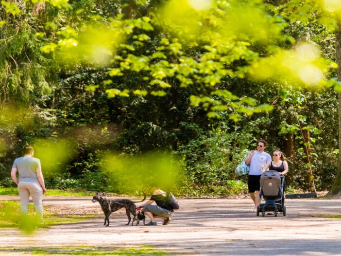 Wandelen in park