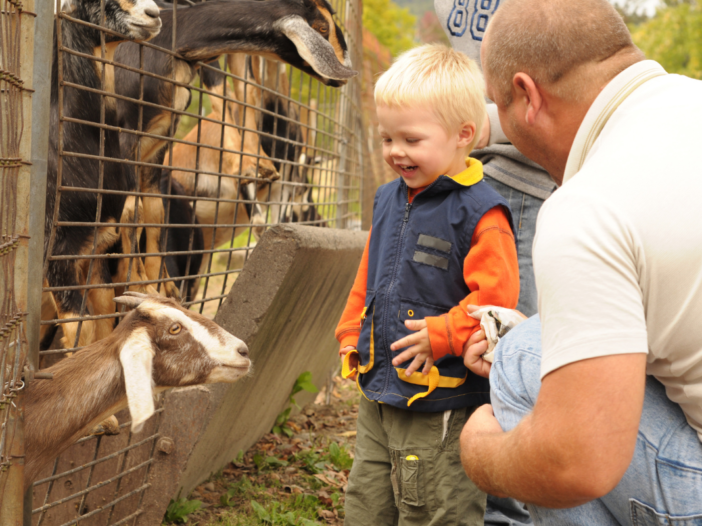 vader en zoon op een kinderboerderij