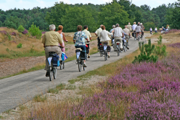 groep mensen fietst langs de heide