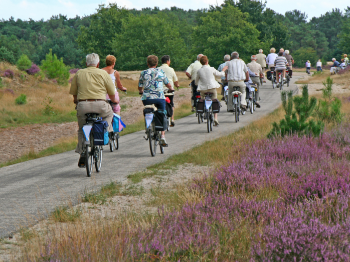 groep mensen fietst langs de heide
