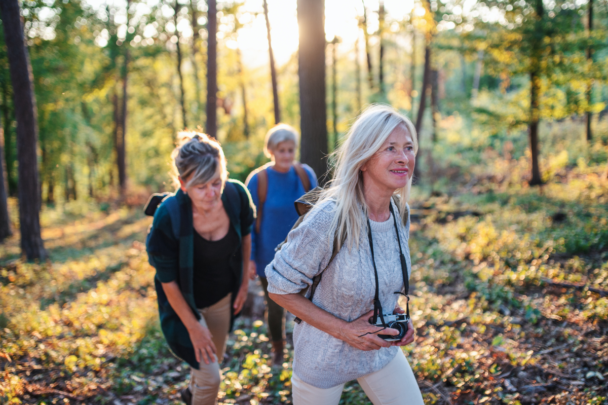 vrouwen zijn aan het wandelen in bos