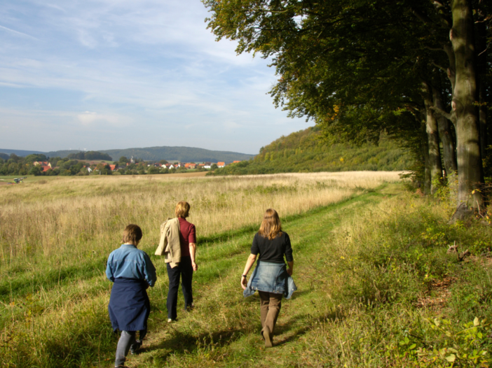 3 wandelaars op de heide