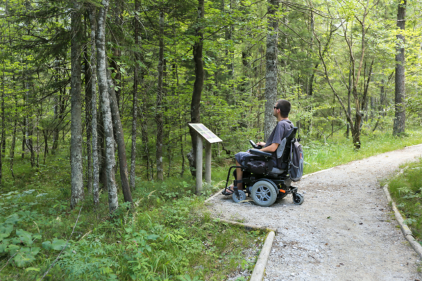 man in rolstoel bekijkt een bordje in een bos