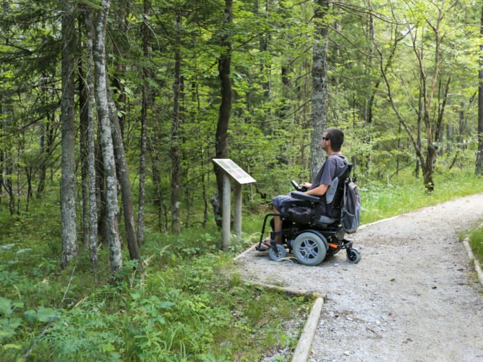 man in rolstoel bekijkt een bordje in een bos