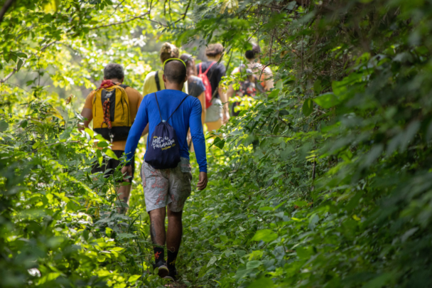 groepje mensen wandelt door het bos