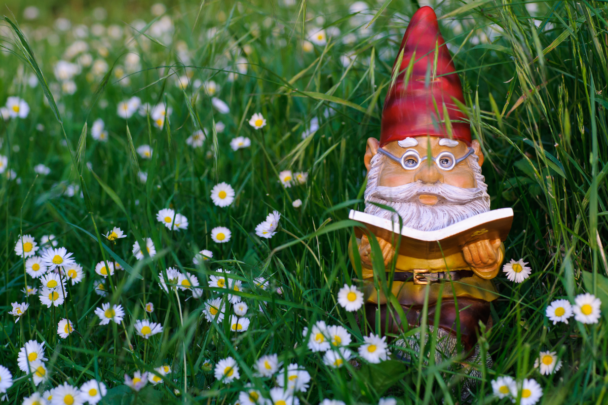 een tuinkabouter in een grasveld met margrietjes