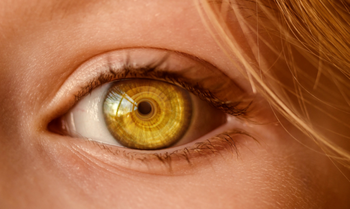 Close up afbeelding van een goudbruin oog van een vrouw