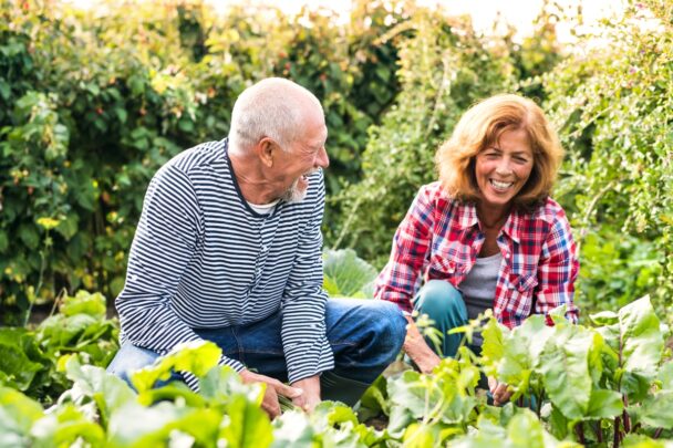 Man en vrouw zijn samen in de tuin aan het werken.