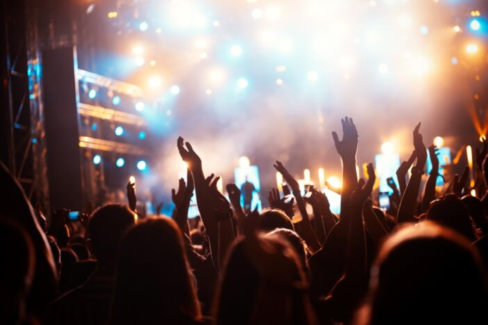 Groep feestende mensen in een concertzaal