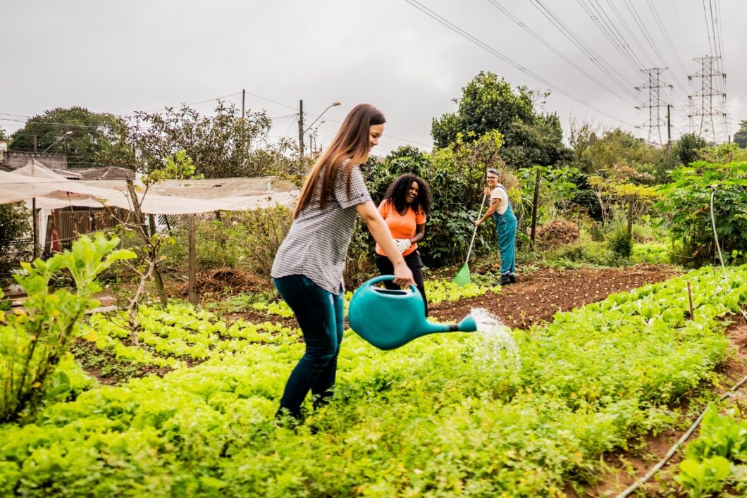Vrouwen werken samen in moestuin.