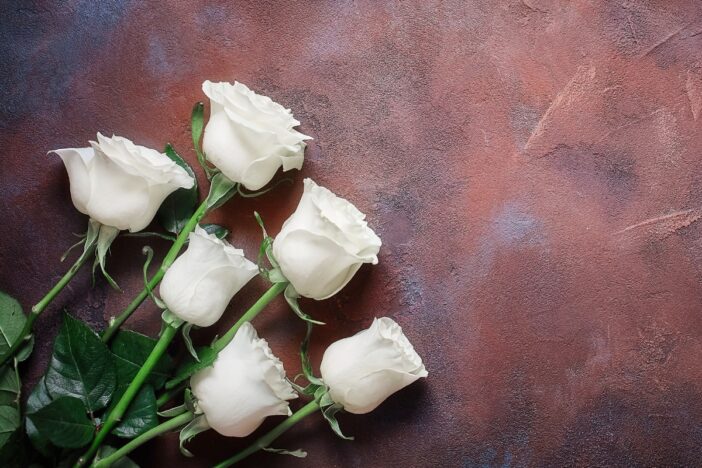 Zes witte rozen op een roestbruimne ondergrond.