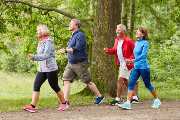Vier mensen wandelen door het bos.