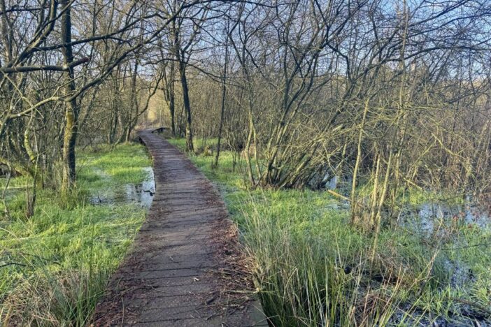 Wandlpad over water