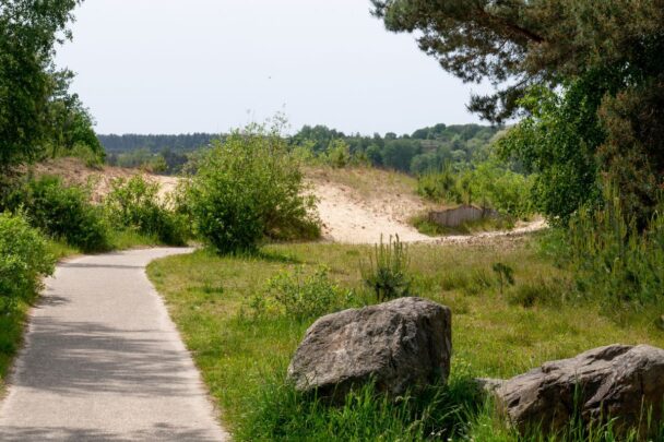 Wandelpad in de Kempen