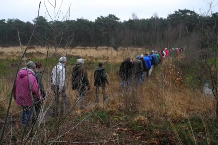 Rij mensen over wandelpad in bos.